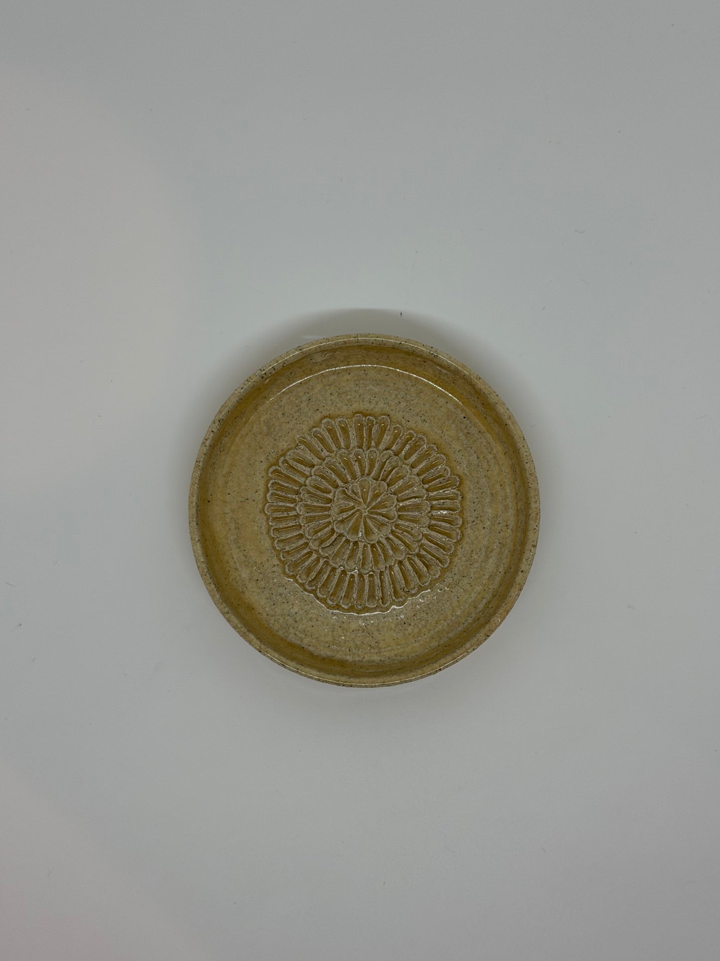 Neutral Garlic Grater