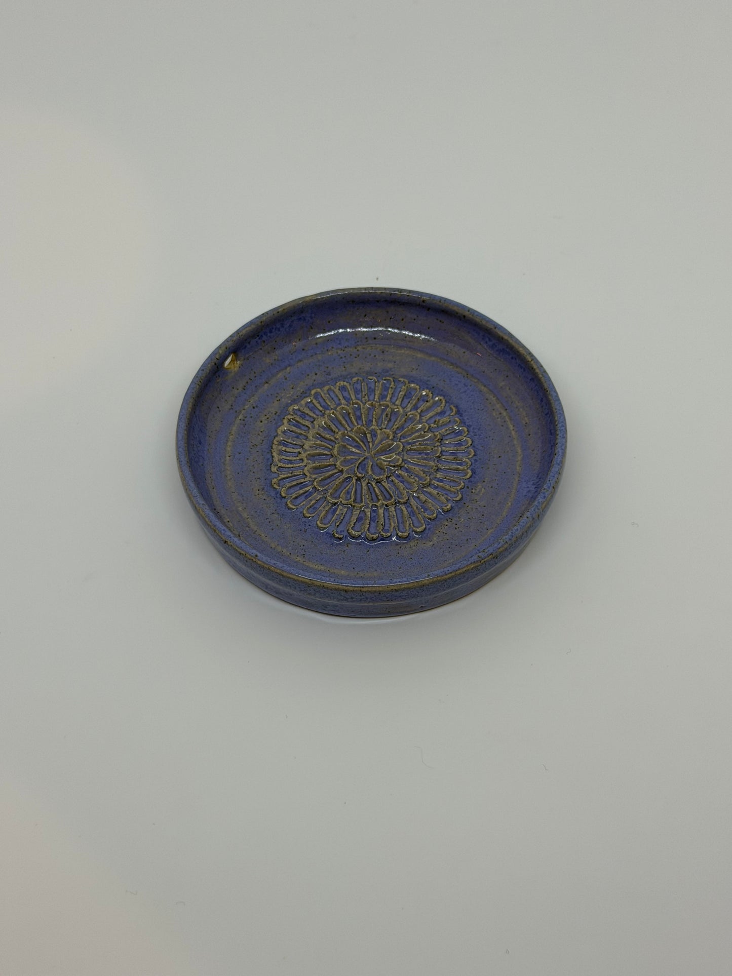 Blue Garlic Grater