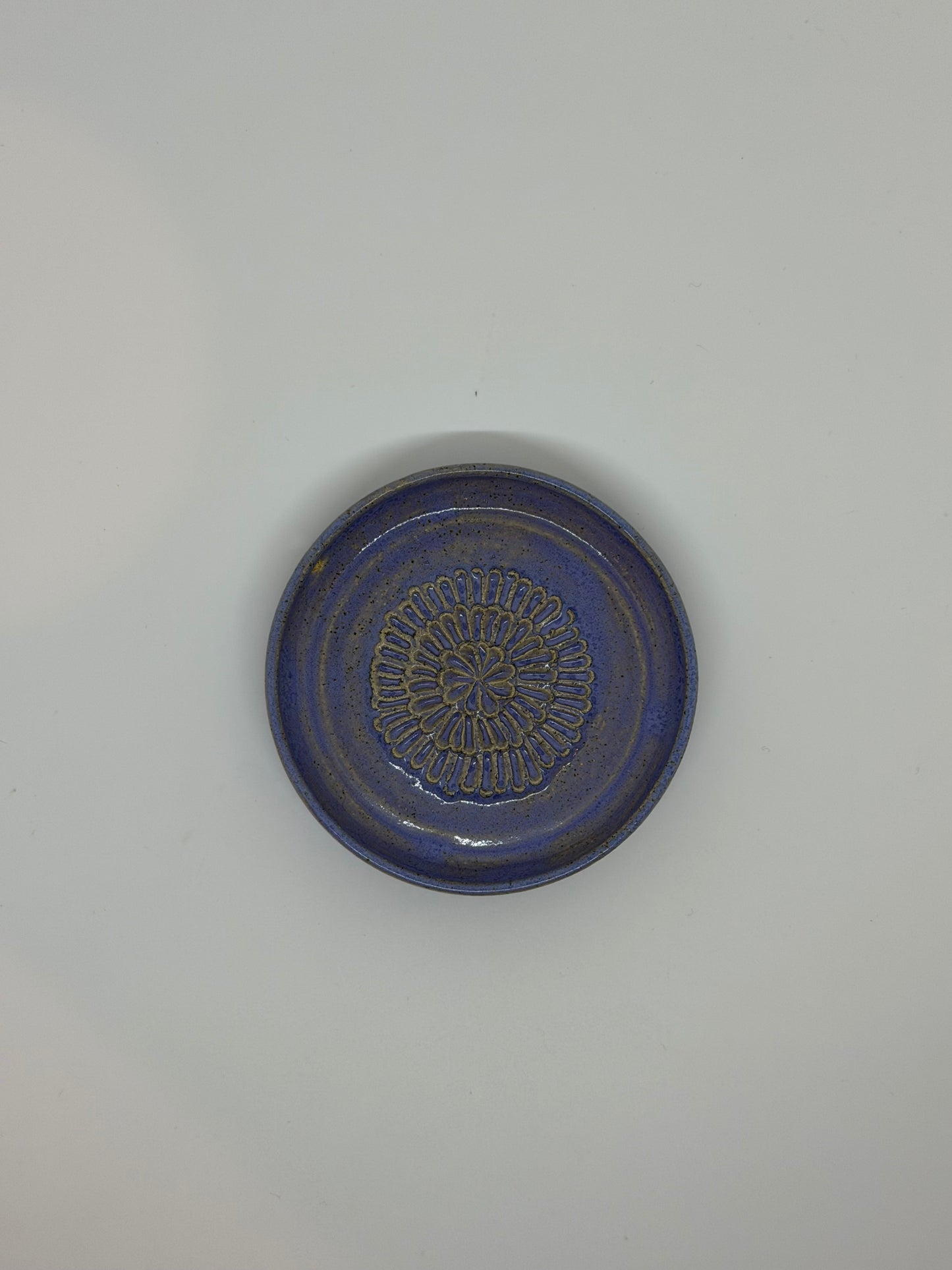 Blue Garlic Grater