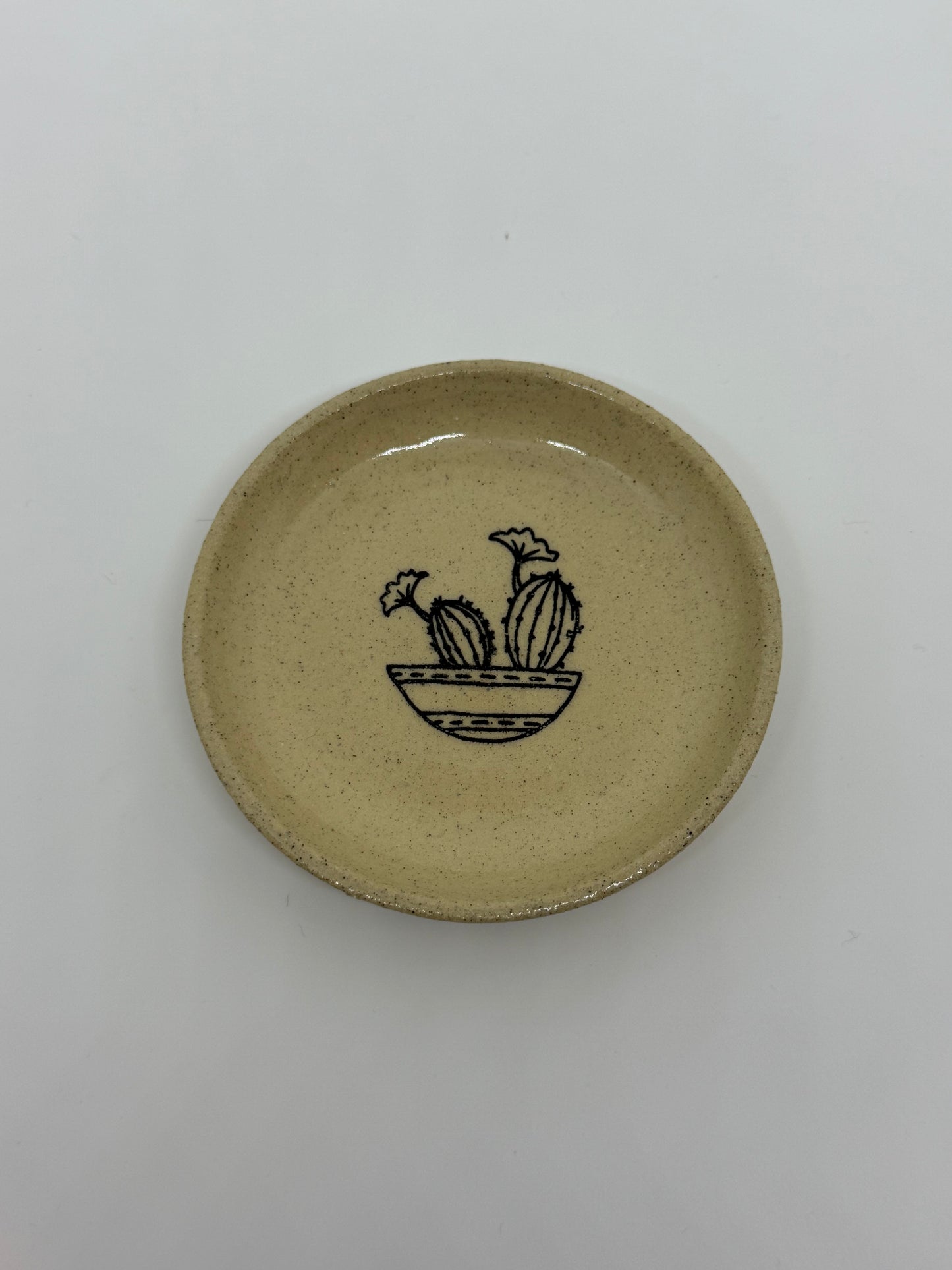 Trinket Tray Plant Design No.1