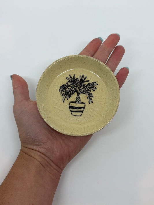 Trinket Tray Plant Design No.3