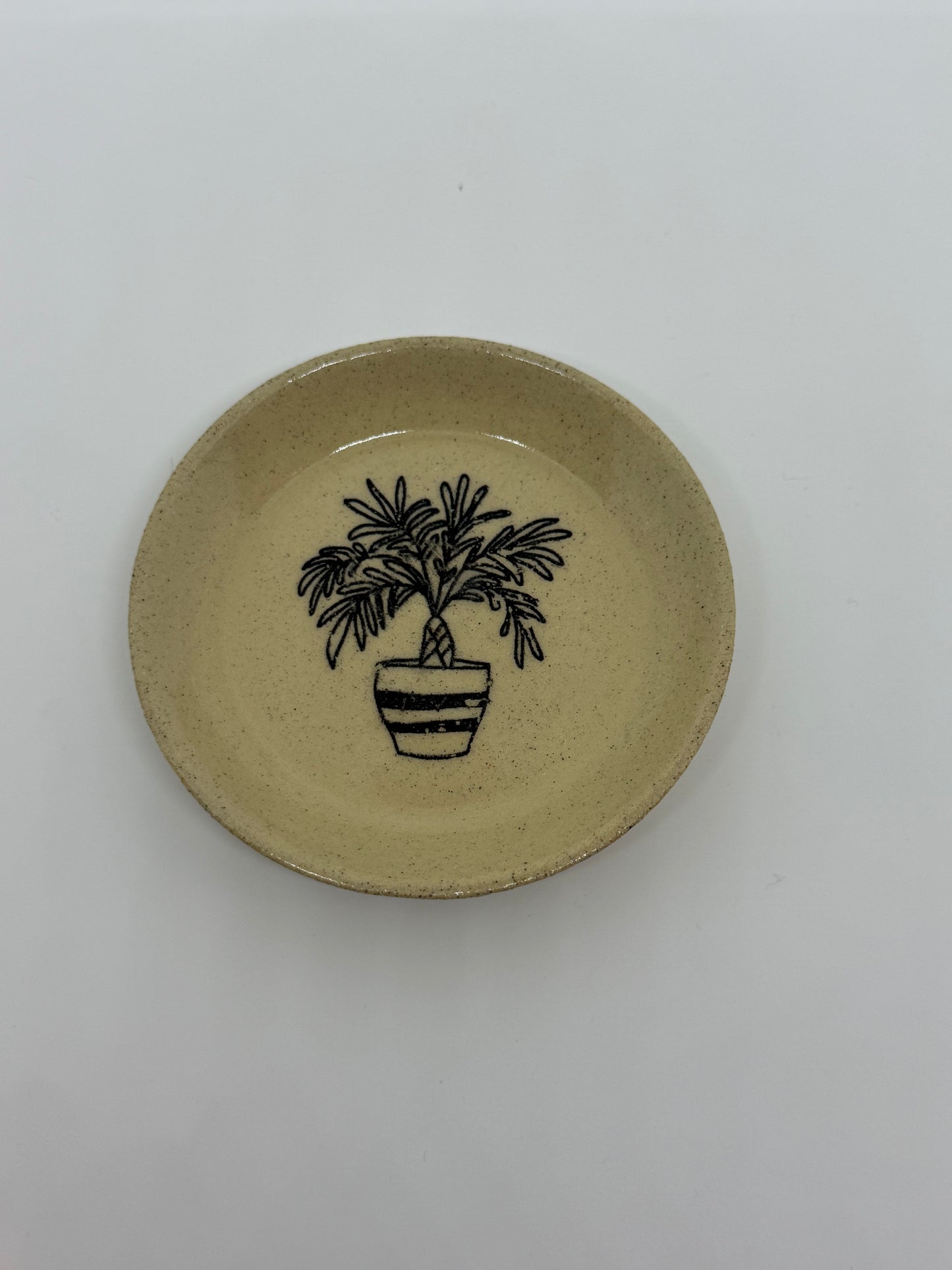 Trinket Tray Plant Design No.3