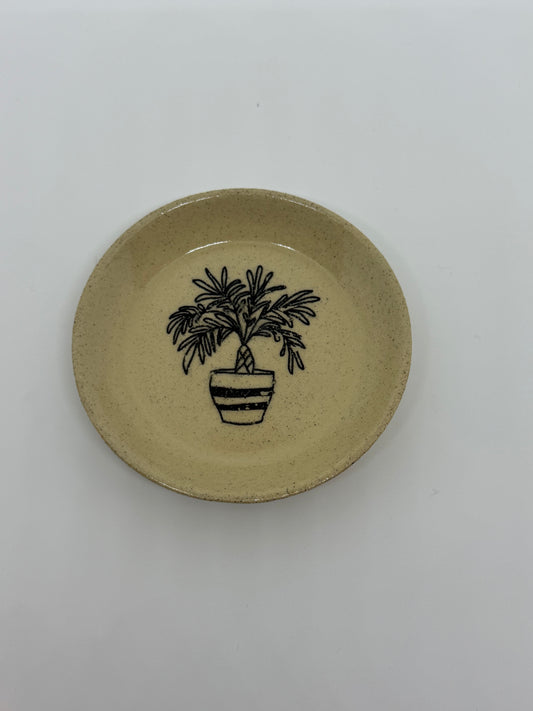 Trinket Tray Plant Design No.3