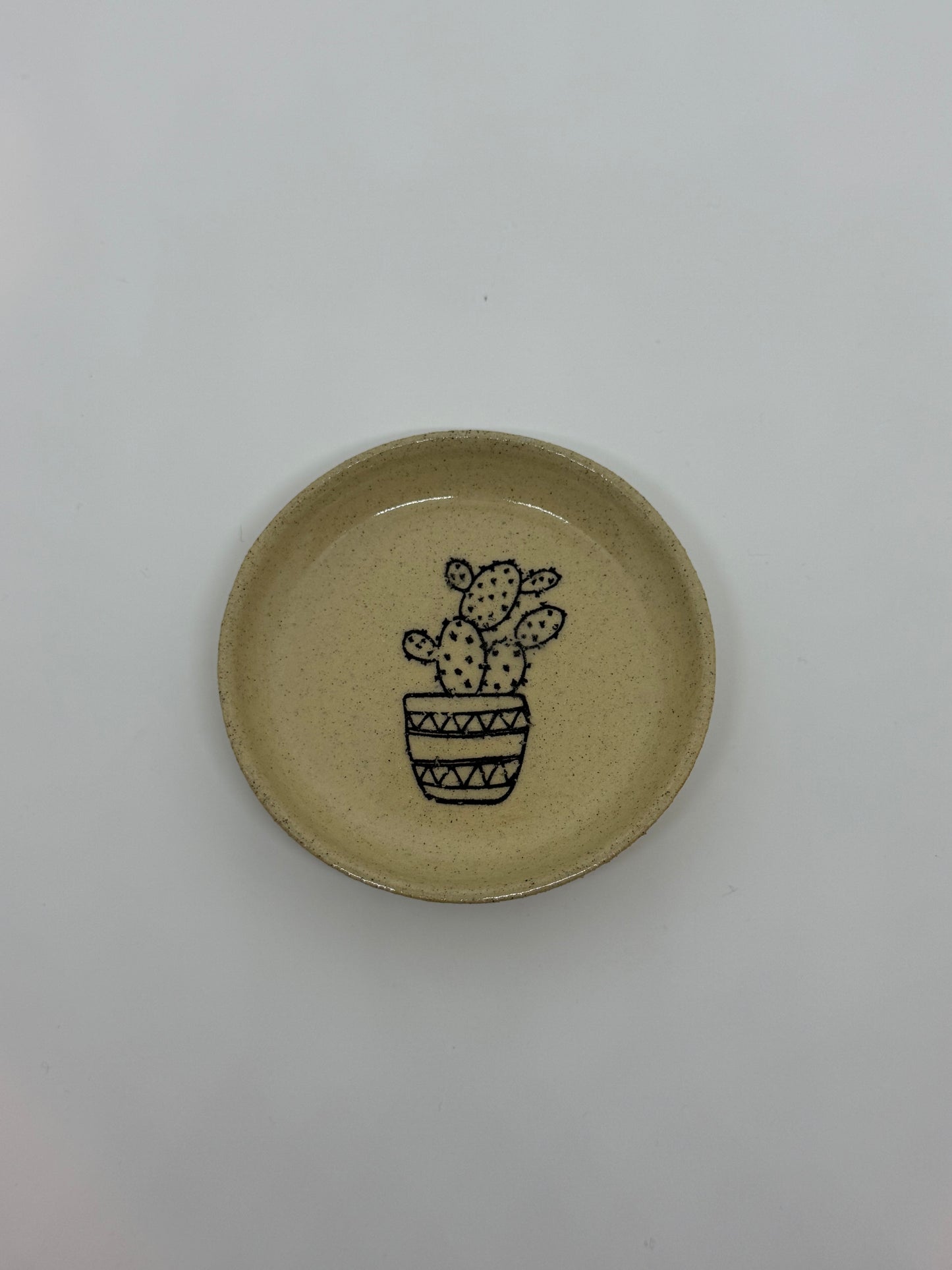 Trinket Tray Plant Design No.4