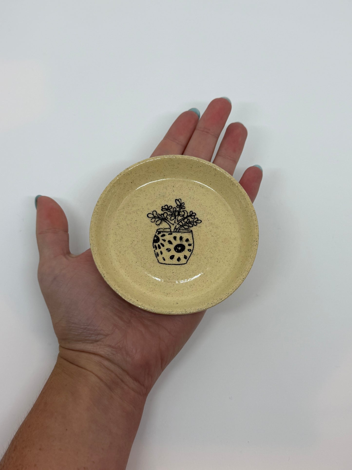Trinket Tray Plant Design No.5