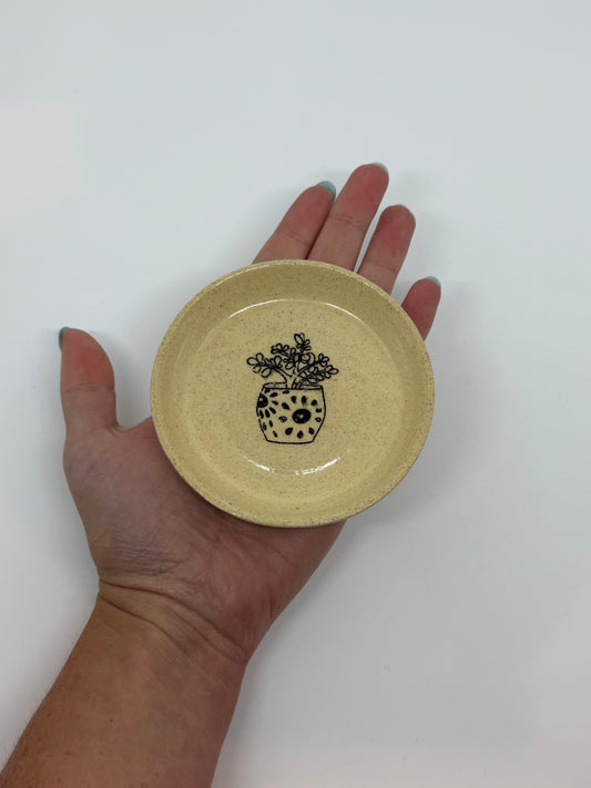 Trinket Tray Plant Design No.5