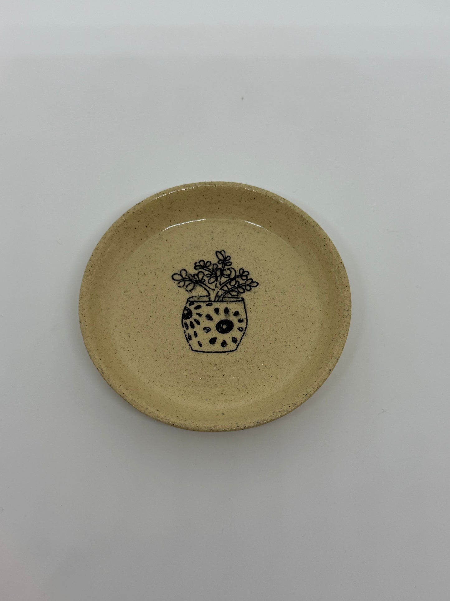 Trinket Tray Plant Design No.5